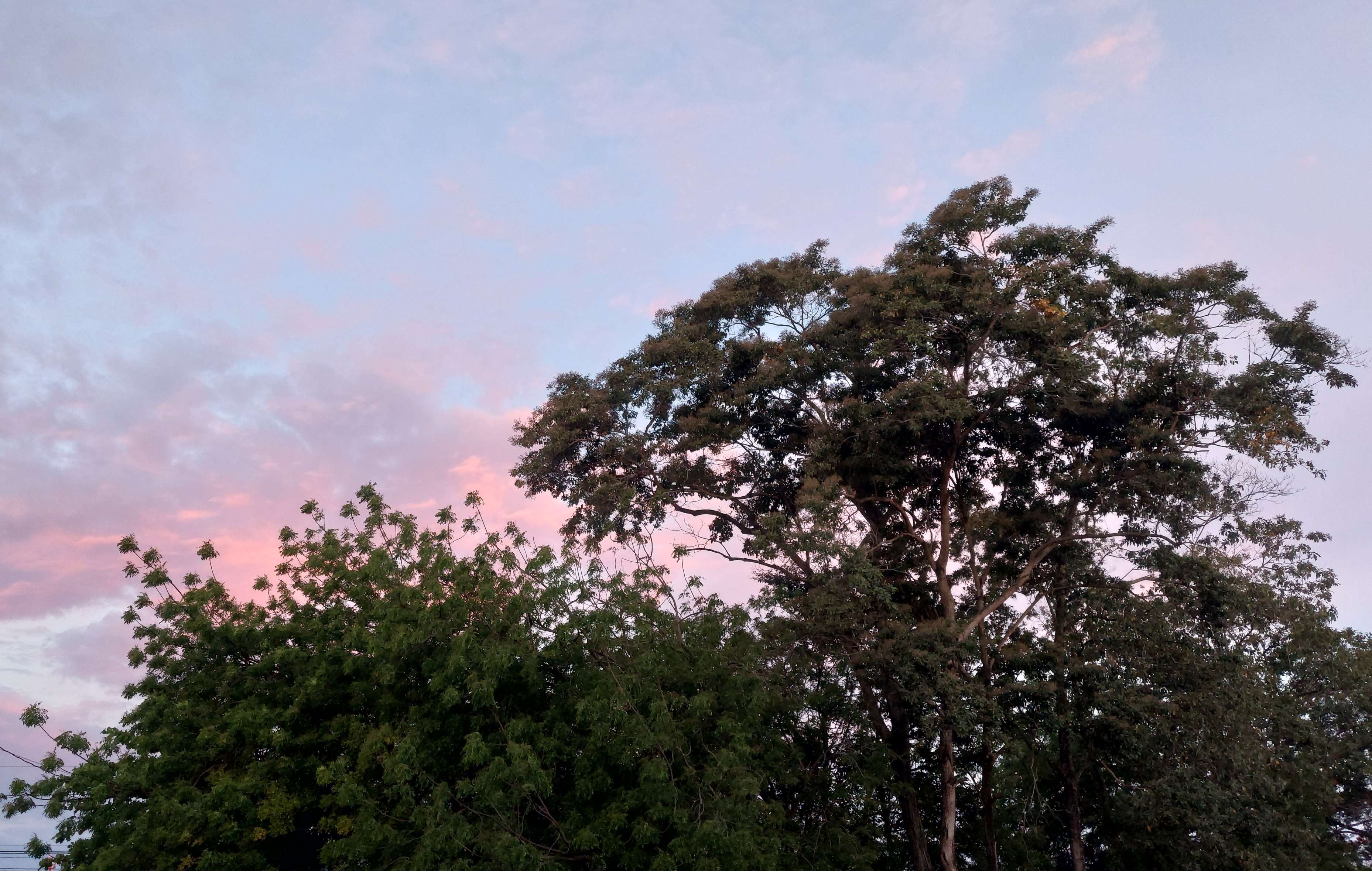 Vista de Residencial Buena Ventura II