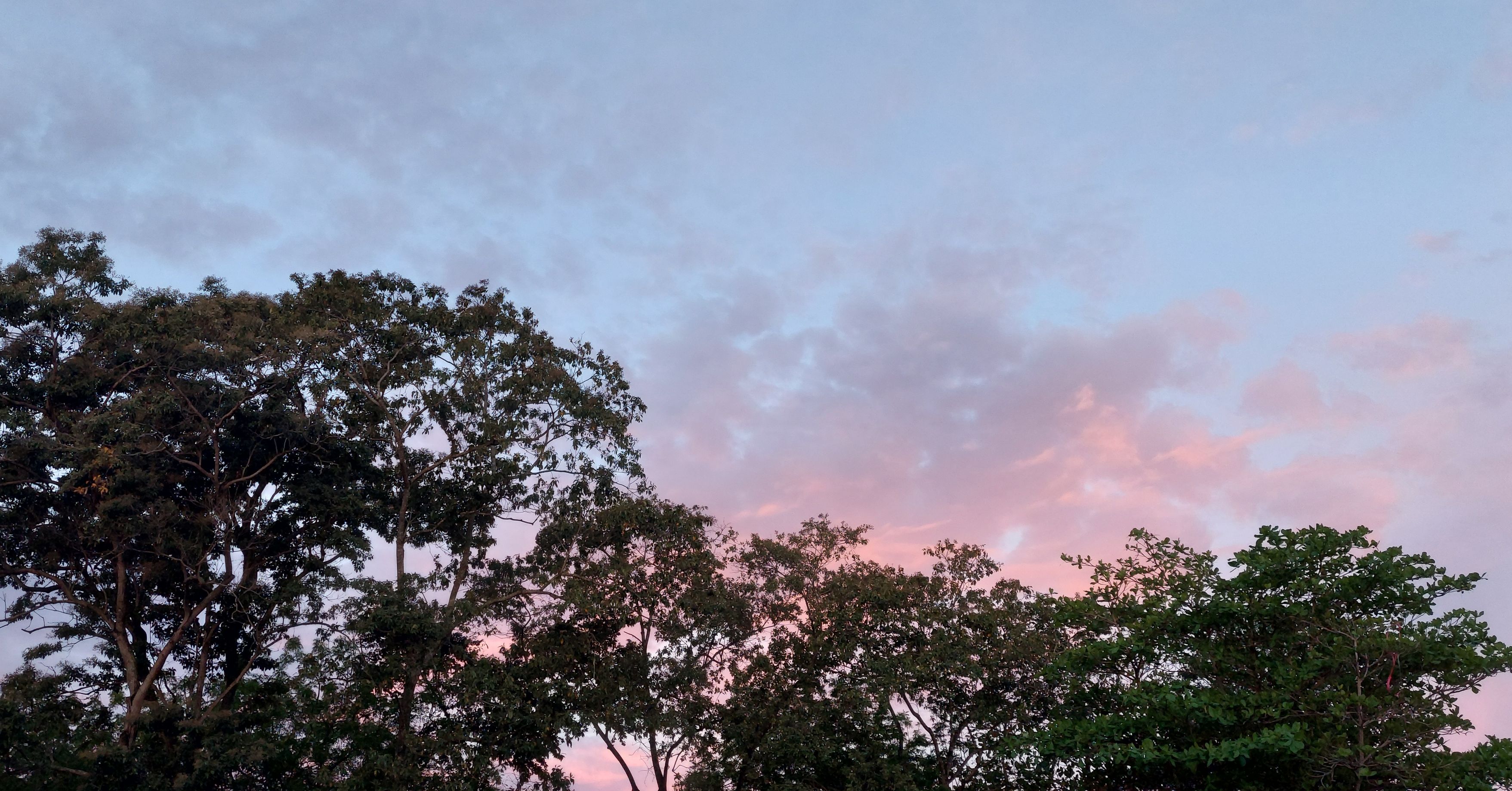 Vista de Residencial Buena Ventura II